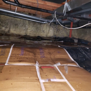 Photo of Restoration Logistics Water Damage Restoration