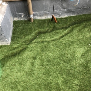 Photo of Lawns Of The West
