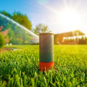 Photo of Lawn Pros