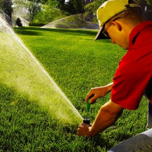 Photo of Lawn Pros