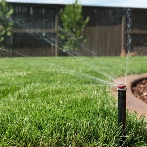 Photo of Lawn Pros