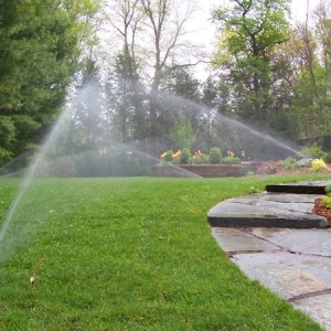 Photo of Lawn Pros