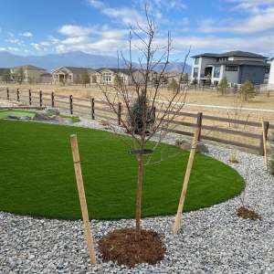 Photo of Dominion Turf- LOCAL Synthetic Grass Sales & Installation