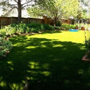 Photo of Dominion Turf- LOCAL Synthetic Grass Sales & Installation