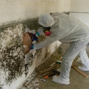 Photo of Colorado Cleanup Services
