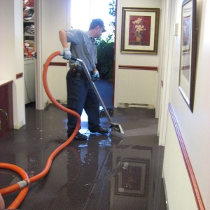 Photo of Professional Restoration