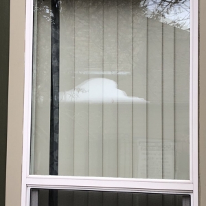 Photo of Wilson Glass and Screen