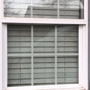 Photo of Wilson Glass and Screen