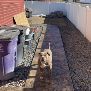 Photo of I&B Concrete