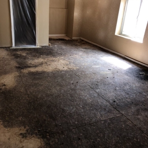 Photo of Aqua Dry Restoration