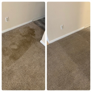 Photo of Hawkeye Carpet Care, Est.1987