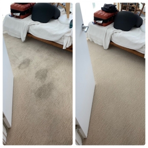 Photo of Hawkeye Carpet Care, Est.1987