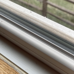 Photo of One Window At a Time