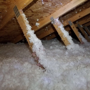 Photo of Energy Saver Insulation