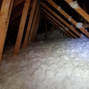 Photo of Energy Saver Insulation