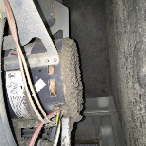 Photo of Spartan Plumbing