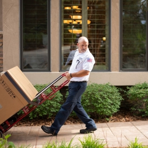 Photo of Plumbline Services