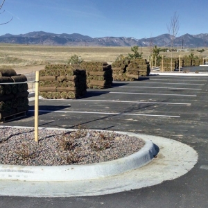 Photo of Bigfoot Turf