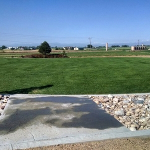 Photo of Bigfoot Turf