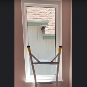 Photo of BlueBird Windows & Doors
