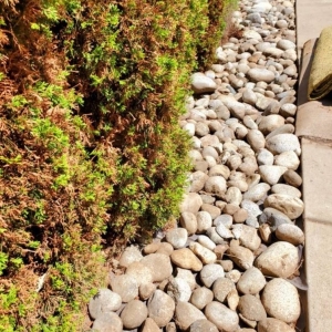 Photo of Fox Landscaping