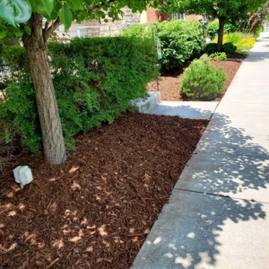 Photo of Fox Landscaping