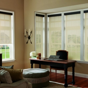 Photo of Budget Blinds Serving Livermore/Tracy