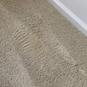 Photo of JC Carpet & Upholstery Cleaning