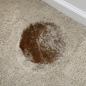 Photo of JC Carpet & Upholstery Cleaning