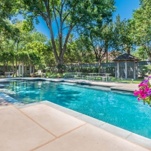 Photo of Pool Knights