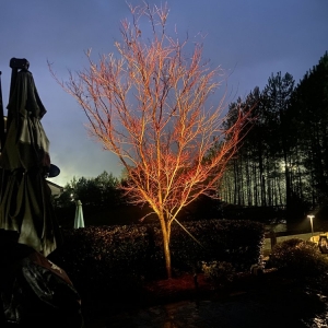 Photo of Dogwood Landscaping