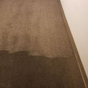 Photo of Sonoma County Carpet Care