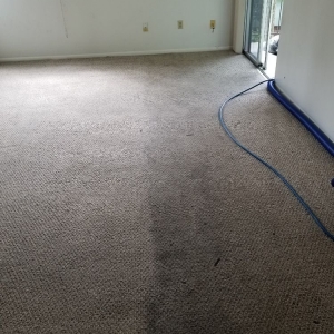 Photo of Sonoma County Carpet Care