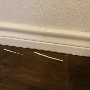 Photo of Raesz Custom Floors