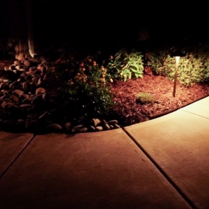 Photo of Palmetto Outdoor Lighting