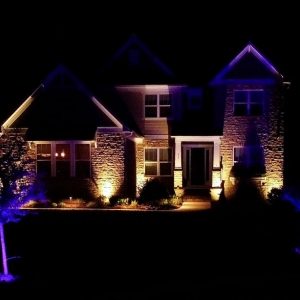 Photo of Palmetto Outdoor Lighting