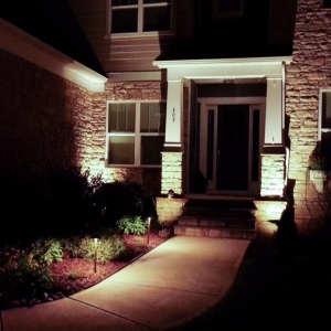 Photo of Palmetto Outdoor Lighting
