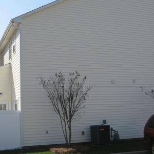 Photo of Blueagle Exterior Washing