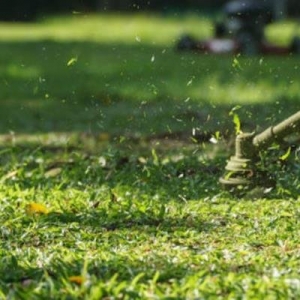 Photo of Woody's Lawncare & Pressure Washing Service