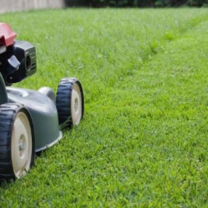 Photo of Woody's Lawncare & Pressure Washing Service