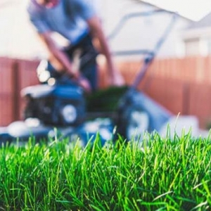 Photo of Woody's Lawncare & Pressure Washing Service