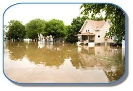 Photo of Woody's Restoration Services