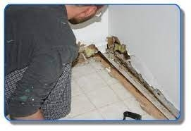 Photo of Woody's Restoration Services