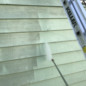 Photo of Pro Window Cleaning