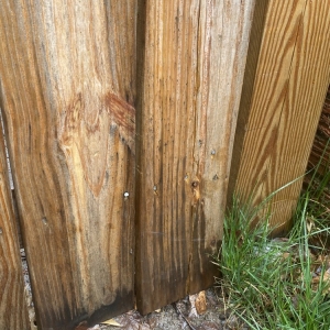 Photo of Accokeek Fence Co.