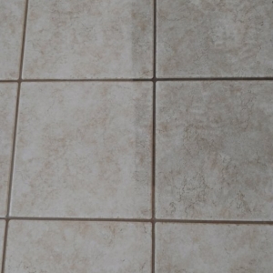 Photo of Pro Clean