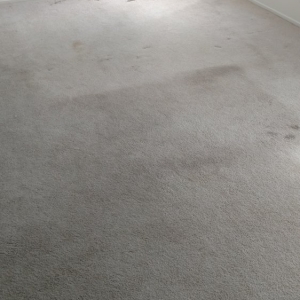 Photo of Pro Clean