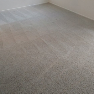Photo of Pro Clean