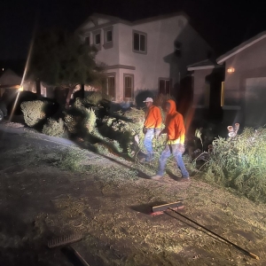 Photo of JT'S Tree Service