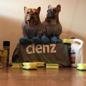 Photo of Clenz Philly Cleaning